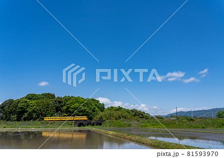 三重県いなべ市のめがね橋を通り過ぎる三岐鉄道北勢線の黄色い軽便鉄道 81593970