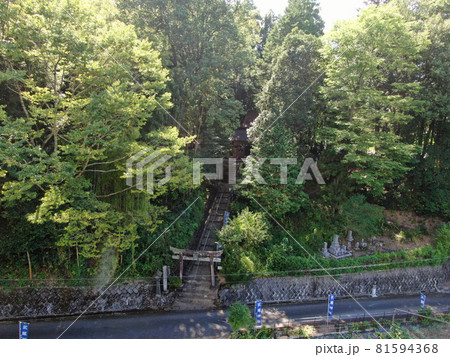 武蔵の里の武蔵神社の森の空撮 81594368