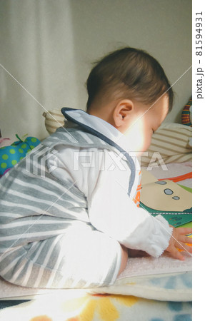 生後5ヶ月 81594931