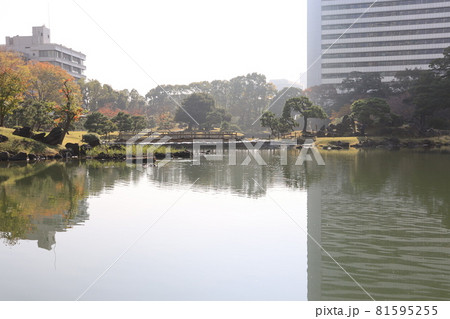 東京都港区芝離宮庭園の秋の風景 81595255