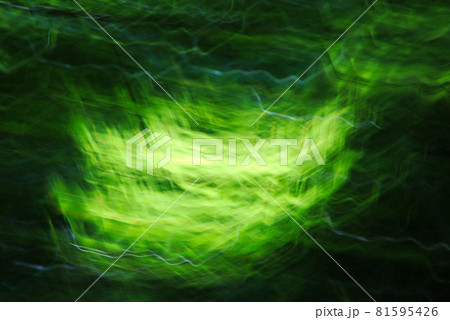 森林のモミジの若葉を揺らして写す 81595426