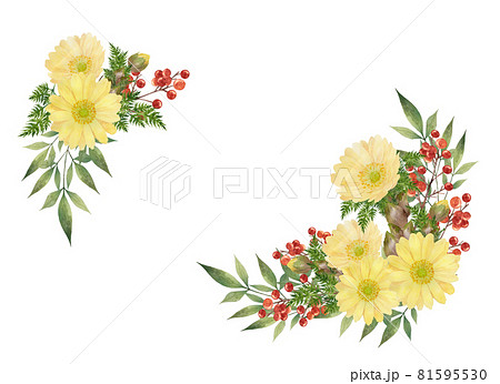 福寿草と南天のフレーム 81595530