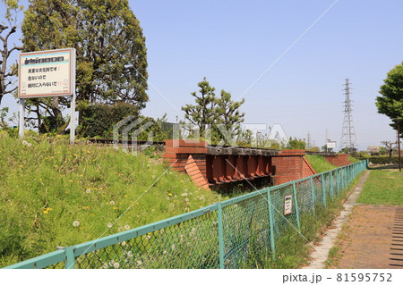 埼玉県深谷市原郷のブリッジパークの風景 埼玉県深谷市原郷のブリッジパークの風景 81595752