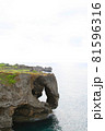 沖縄の万座毛の風景 81596316