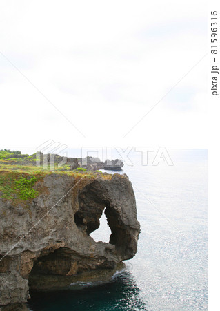 沖縄の万座毛の風景 81596316