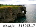 沖縄の万座毛の風景 81596317