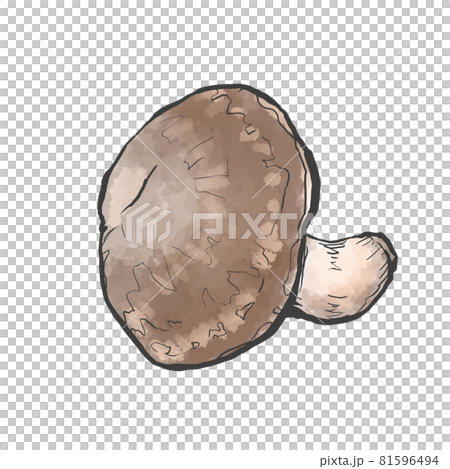 シイタケの和風手描きイラスト 81596494