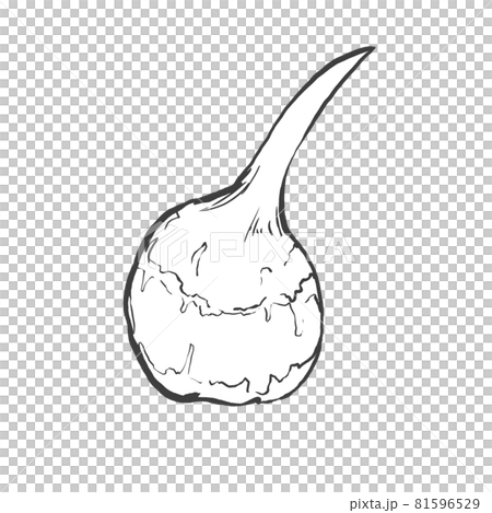 科威特的日式手繪線描插圖 81596529