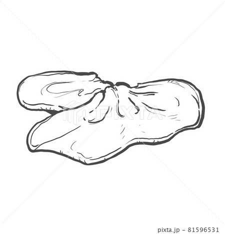 きくらげの和風手描き線画イラスト 81596531