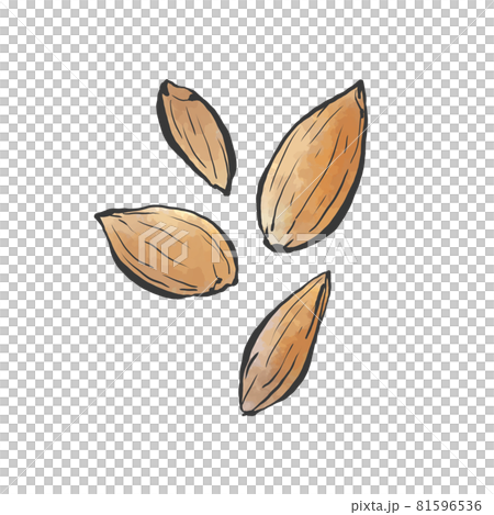 日式杏仁手繪插畫 日式杏仁手繪插畫 81596536