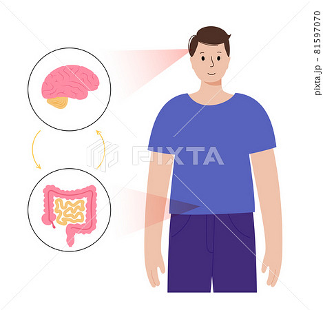 Gut brain connection 81597070