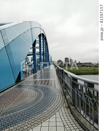丸子橋　上流側歩道 81597157