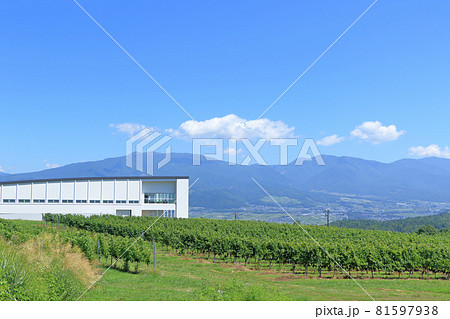 8月末の椀子ワイナリー 81597938