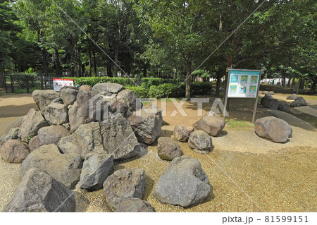 東京都目黒区東山　東山公園 81599151