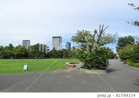 東京都目黒区東山　東山公園 81599154