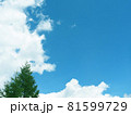 夏空2021.08-1 81599729