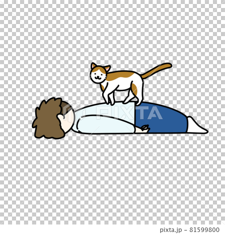 猫に踏まれる 81599800