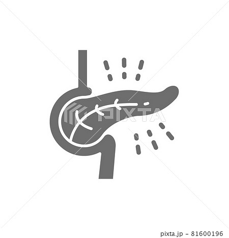 Pancreatic diseases, diabetes grey icon. Isolated on white background Pancreatic diseases, diabetes grey icon. Isolated on white background 81600196