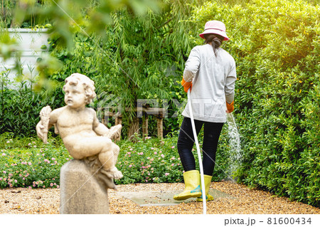 Back view of woman gardener wearing  hat in a garden watering hose splashing water on the lawn and tree leafs . Slow living, gardening hobby concept. Watering plants daily housekeeping routine. 81600434