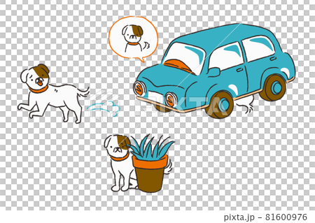 A dog that escapes and hides 81600976