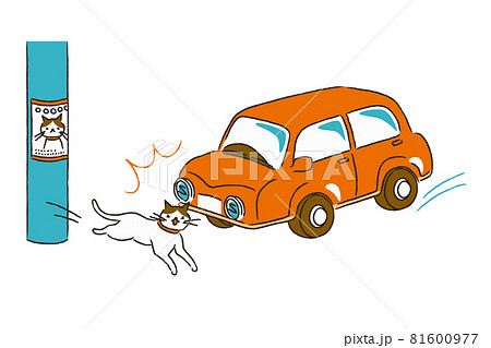 脱走して交通事故にあう猫 81600977