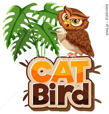 Owl cartoon character with Cat Bird font banner isolated 81601006