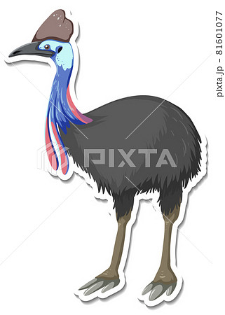 A sticker template of cassowary cartoon character A sticker template of cassowary cartoon character 81601077