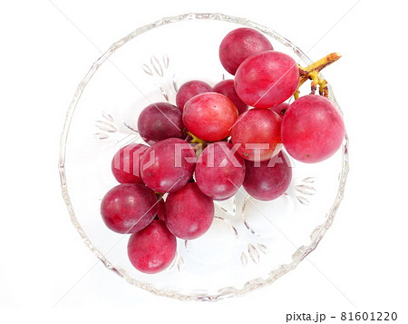 ぶどう　ブドウ　葡萄 81601220