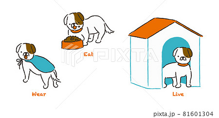 犬の衣・食・住 81601304