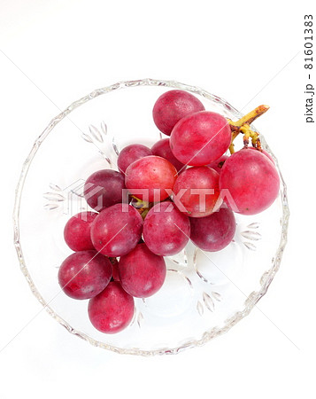 ぶどう　ブドウ　葡萄 81601383