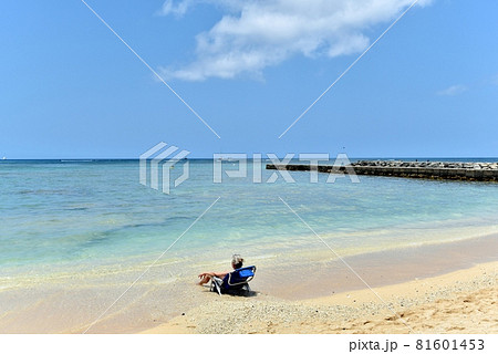 ハワイの休日 ハワイの休日 81601453