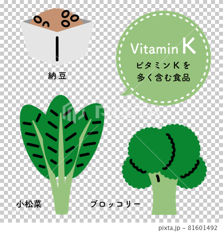 ビタミンkを多く含む食品 イラストセット 日本語ver のイラスト素材