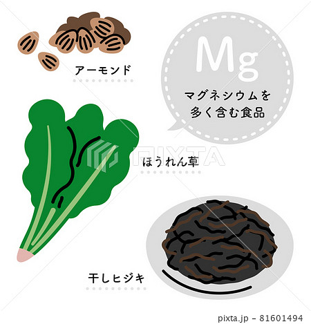マグネシウムを多く含む食品　イラストセット（日本語ver.） 81601494
