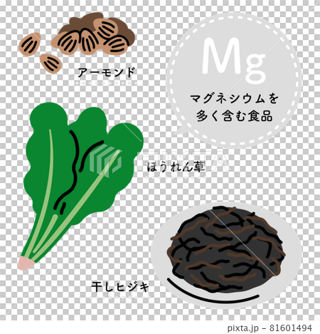 マグネシウムを多く含む食品　イラストセット（日本語ver.） 81601494