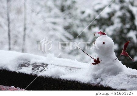 小さくてかわいい雪だるま 小さくてかわいい雪だるま 81601527