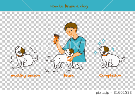 The flow of dogs trimming 81601558
