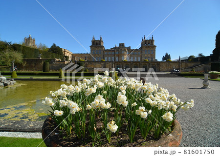 イギリス　ブレナム宮殿 81601750