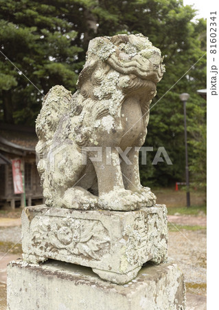 宮城県気仙沼市 オルレ トレッキングコースの発見 御崎神社 宮城県気仙沼市 オルレ トレッキングコースの発見 御崎神社 81602341