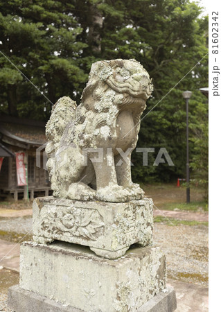 宮城県気仙沼市　オルレ　トレッキングコースの発見　御崎神社 81602342