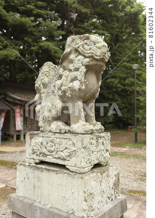 宮城県気仙沼市 オルレ トレッキングコースの発見 御崎神社 宮城県気仙沼市 オルレ トレッキングコースの発見 御崎神社 81602344