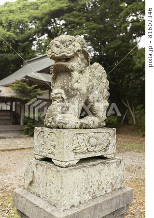 宮城県気仙沼市　オルレ　トレッキングコースの発見　御崎神社 81602346