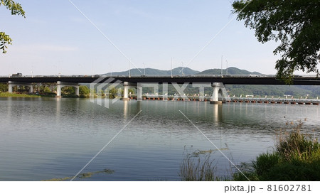 ヤンスリ 公園 青空 81602781