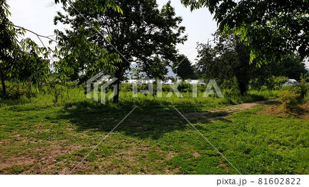 ヤンスリ 公園 青空 81602822