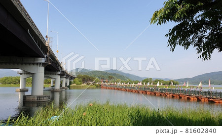 ヤンスリ 公園 青空 81602840