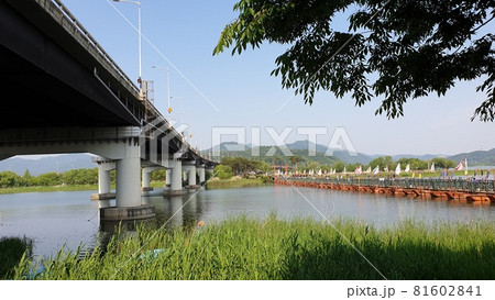 ヤンスリ 公園 青空 81602841