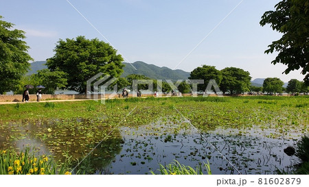 ヤンスリ 公園 青空 81602879
