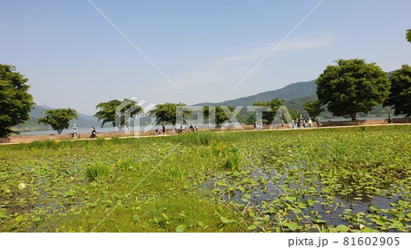 ヤンスリ 公園 青空 81602905