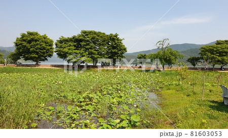 ヅムルモリ ヤンスリ 公園 81603053