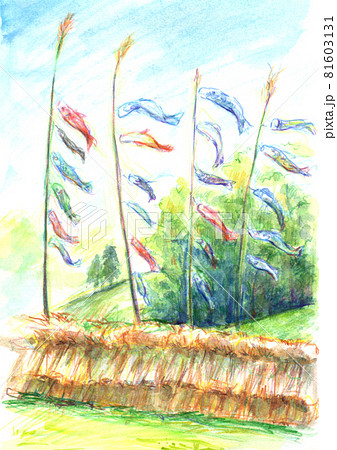 鯉のぼり(色鉛筆画) 鯉のぼり(色鉛筆画) 81603131