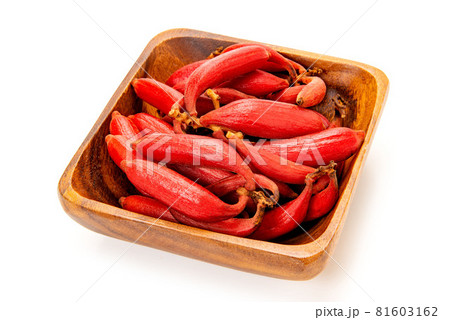 ツチアケビ 81603162